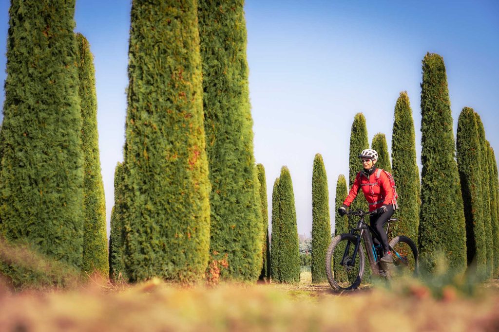 woman on mountain bike among cypresses