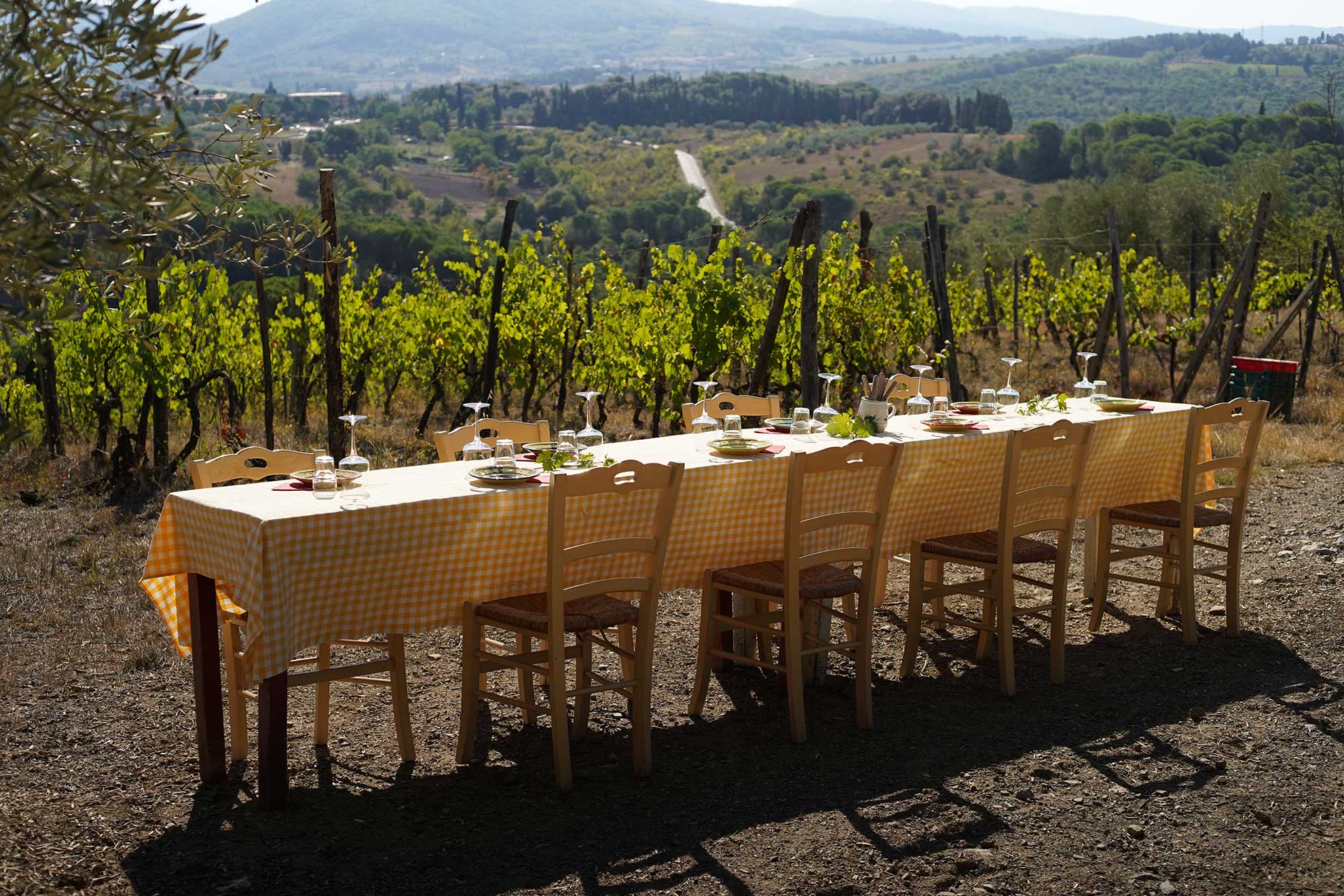 table set outdoors in Chianti