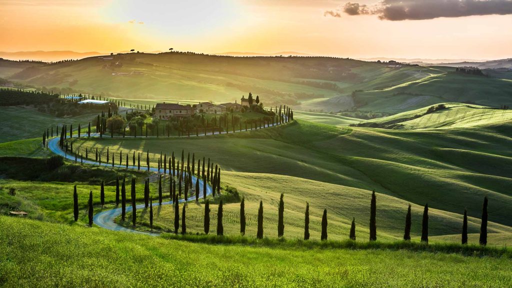 Tuscany hills cypress sunrise